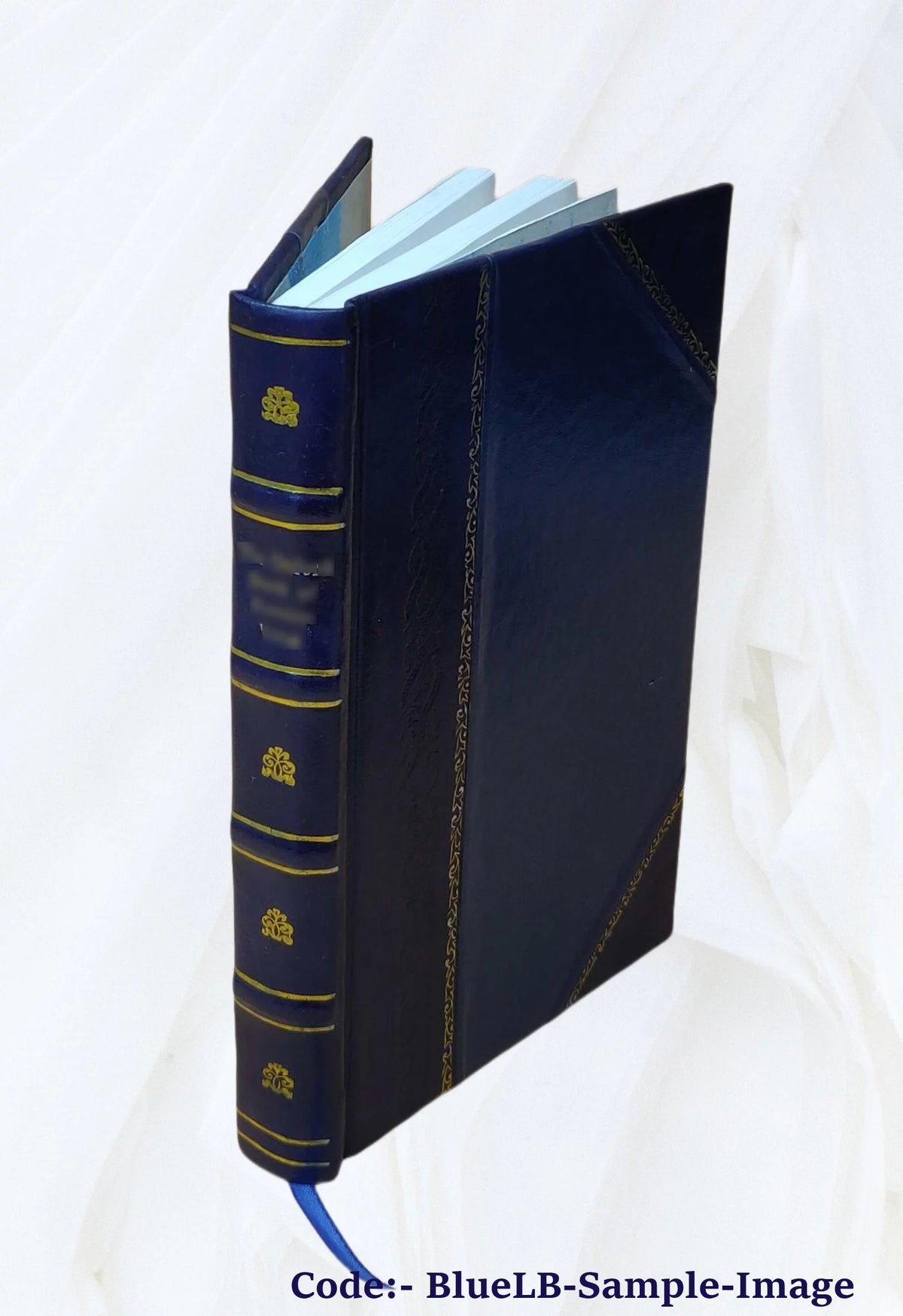 Sister Gertrude Mary Mystic Diary V218293