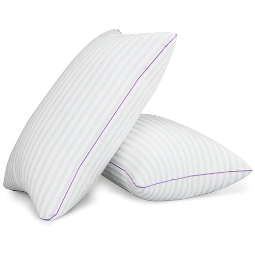 King Size Set of 2 Breathable Down Alternative Microfiber Pillows Q6322
