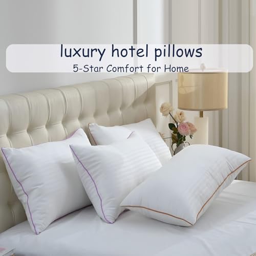 King Size Set of 2 Breathable Down Alternative Microfiber Pillows Q6322