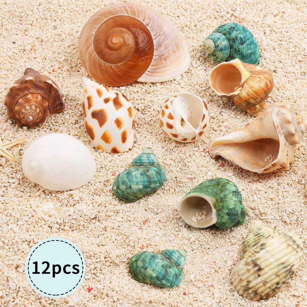 Hermit Crab Shells 12PCS R215