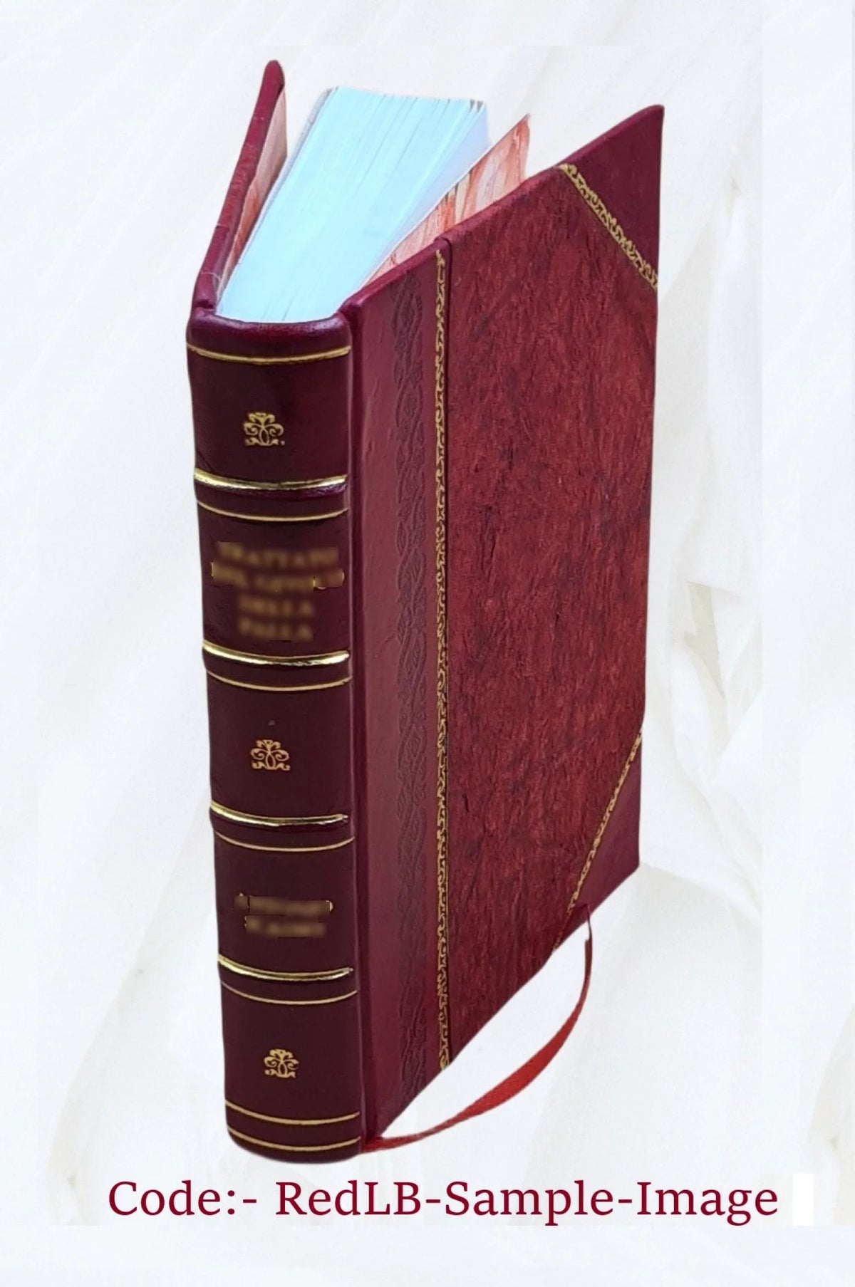 Sister Gertrude Mary Mystic Diary V218293