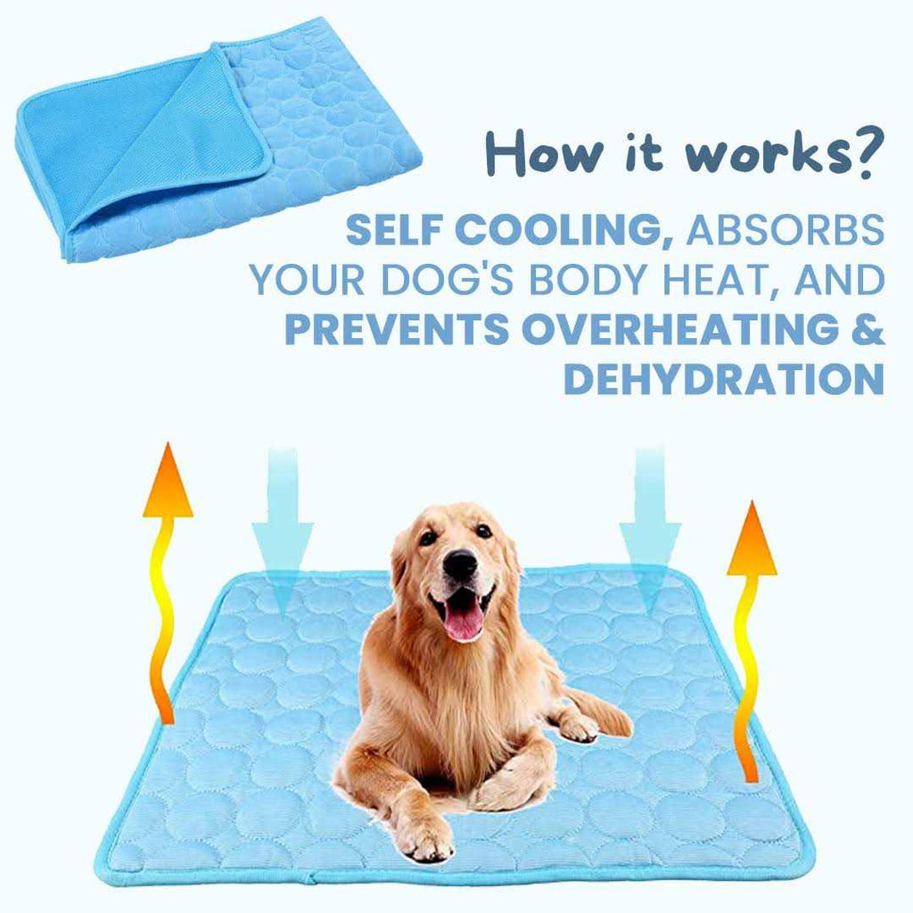 Dog Cooling Mat L9737