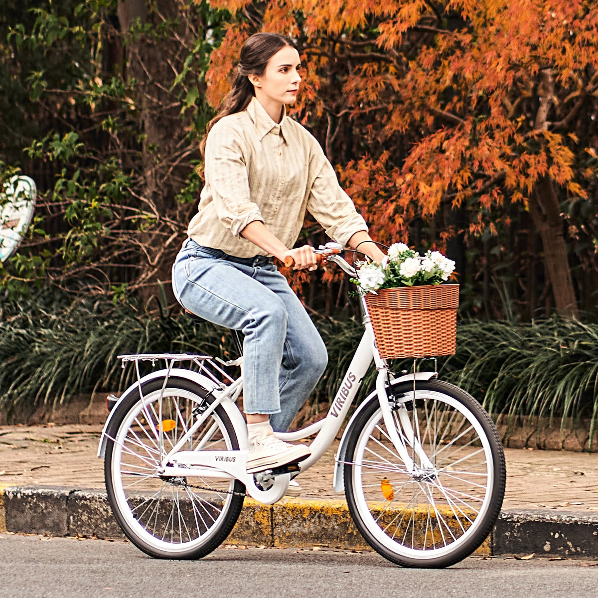 24 Inch Women's Comfort Bike with Basket Step Through Bike K862863