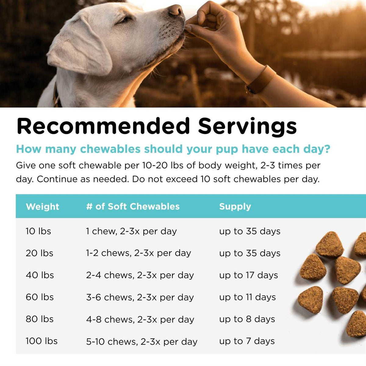 Pet Ease Soft Chews for Dogs M54862
