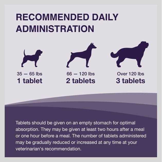 Liver Health Tablets for Large Dogs D833986