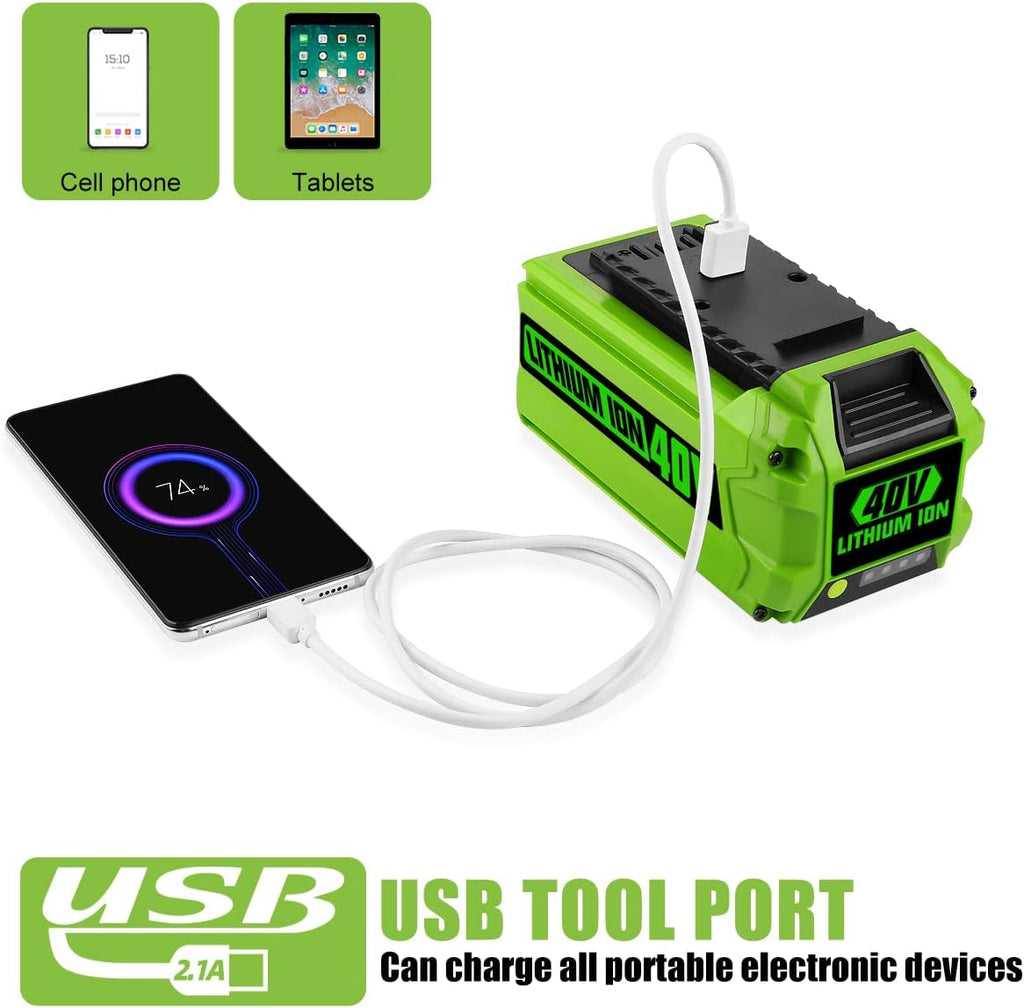 40V 6.0Ah Battery Pack of 2 X33404