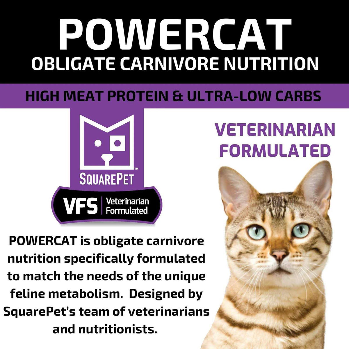 Turkey & Chicken Dry Cat Food T487894