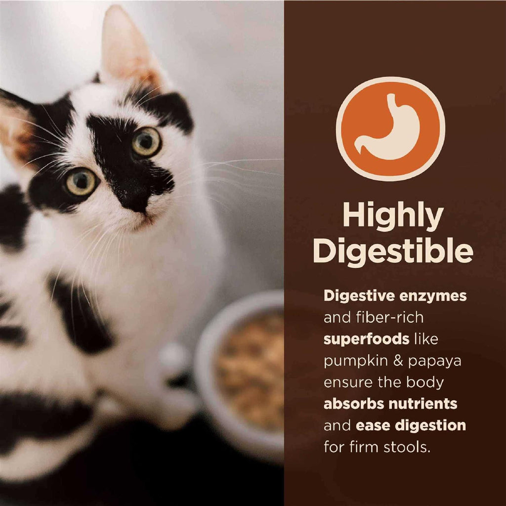 Salmon & Whitefish Pate Variety Pack Wet Cat Food C507