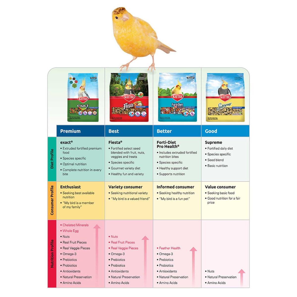 Parrot Food P47937