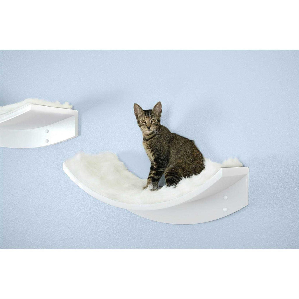 Cat Shelf N713227