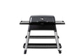 Graphite 3-Burner Propane Gas Grill with Stand U38477