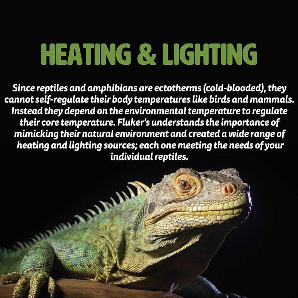 Deep Thermal Heat Lamp for Reptiles F2067