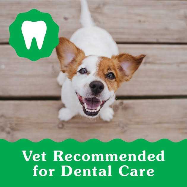 Dental Dog Treats I340