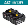 18V Lithium-Ion 6.0 Ah Battery 2-Pack X6406