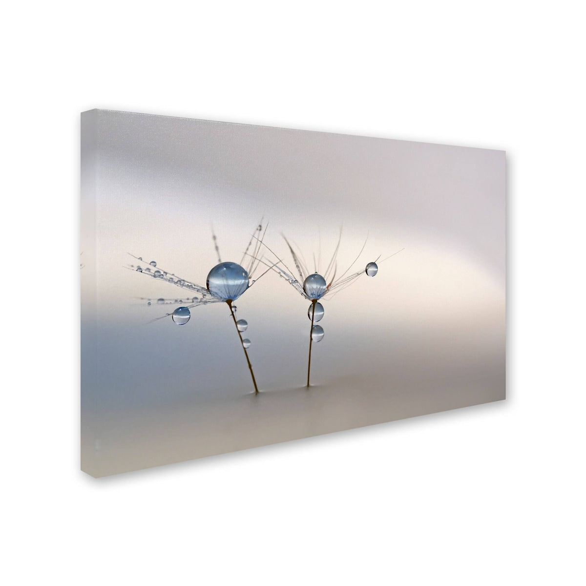 Canvas Art P59596