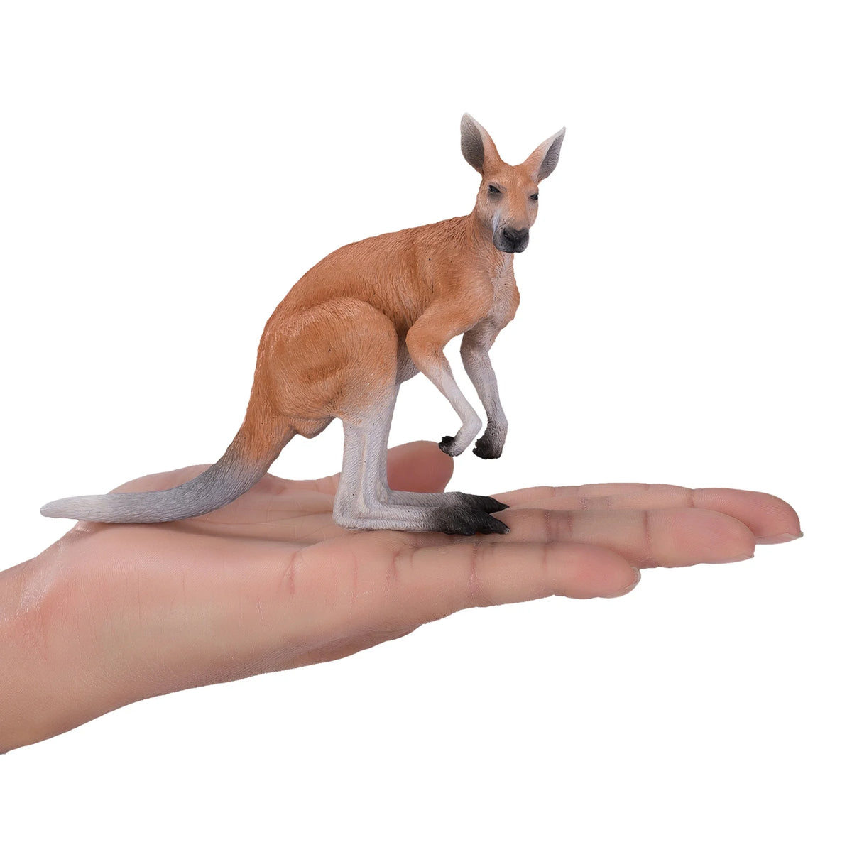 Kangaroo Realistic Hand Painted Toy Figurine A963