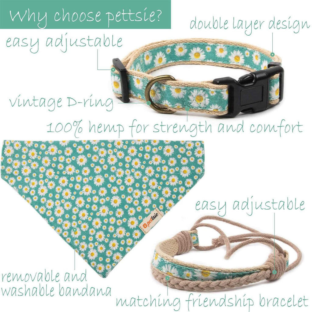 Matching Dog Collar, Bandana and Friendship Bracelet L922673