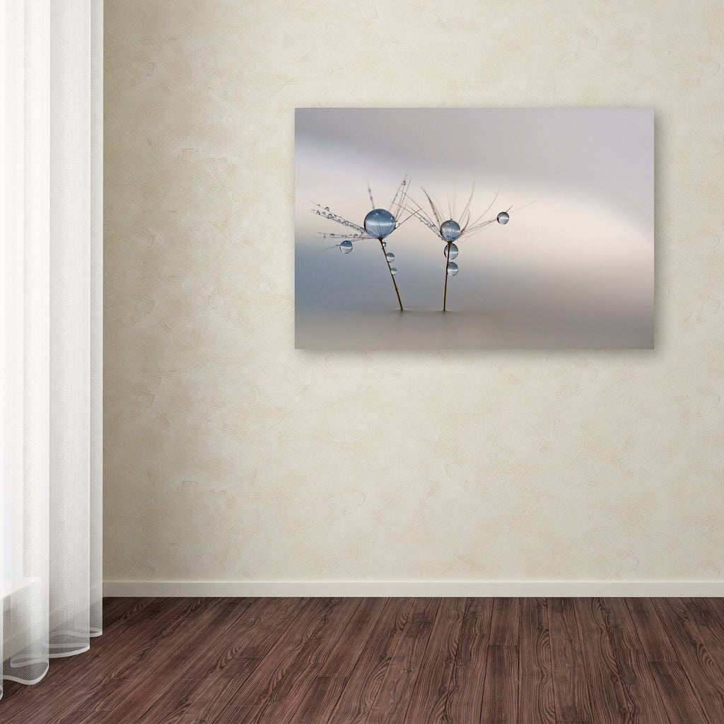 Canvas Art P59596
