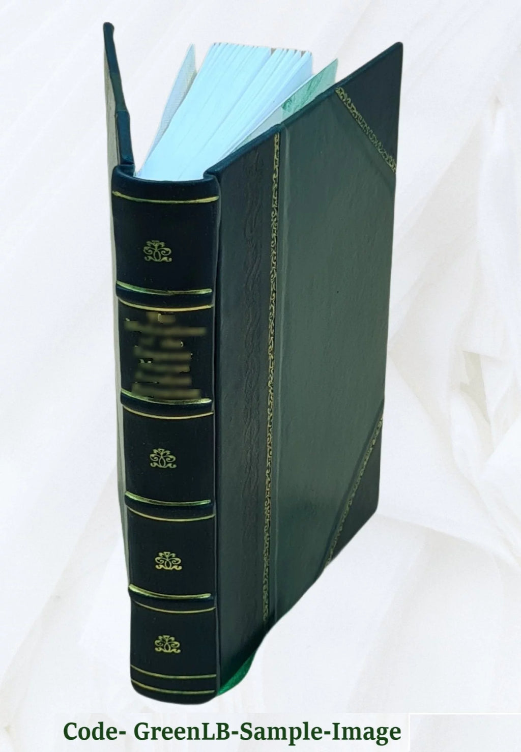 Sister Gertrude Mary Mystic Diary V218293